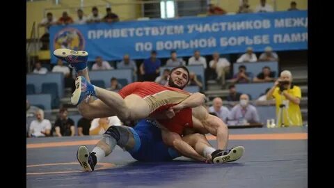 Вольная борьба 97кг