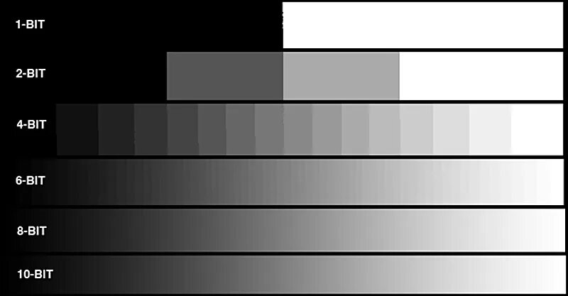 Шкала серого. Изображение в градациях серого цвета. Шкала градации серого. Цветовая палитра для монитора. Сравнение черного и белого