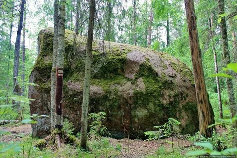 Велесов лес тула