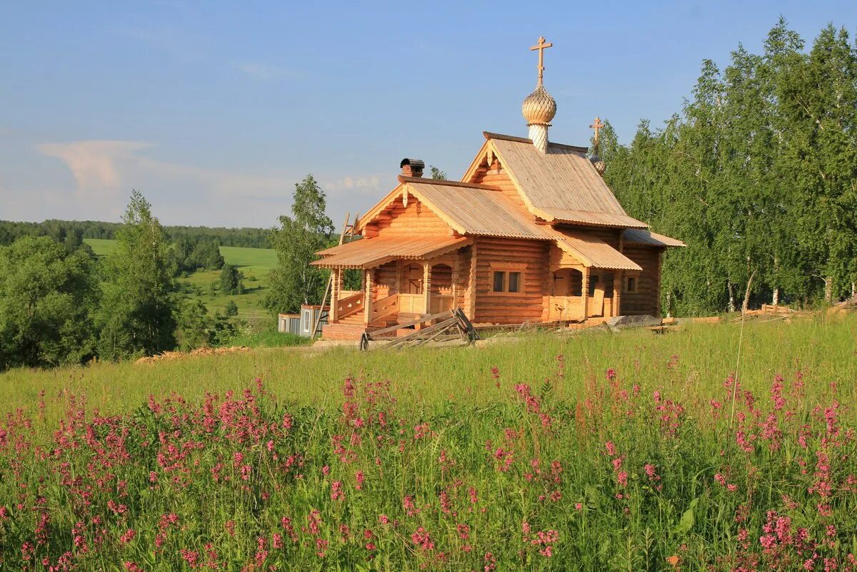 Родники тульской области. Родник Гремячий Тульская область. Родник Гремячий Одоев. Зиброво Одоевский район источник. Деревня Безлепкино Одоевский.