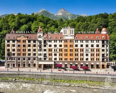 Golden tulip rosa khutor