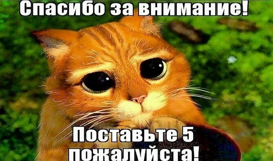 Барри вуд негр оригинал. И без смс огромным. И без смс огромным. Пришло смс. Пришло смс.