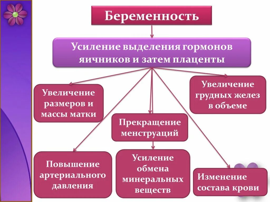 Беременность и роды биология 8. Беременность и роды 8 класс презентация. Презентация про беременность и роды. Развитие зародыша и плода беременность и роды 8 класс.