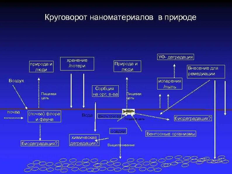 Круговорот серебра в природе. Круговорот золота в природе. Круговорот йода в природе. Круговорот кремния в природе. Фф круговорот