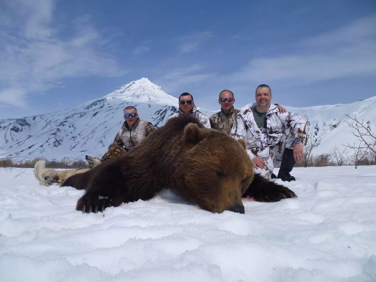 Камчатский бурый медведь трофей. Камчатский медведь охота. Камчатский медведь самый крупный. Самый большой медведь на Камчатке. Охота на аляске