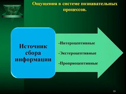 Роль ощущений в познавательной деятельности