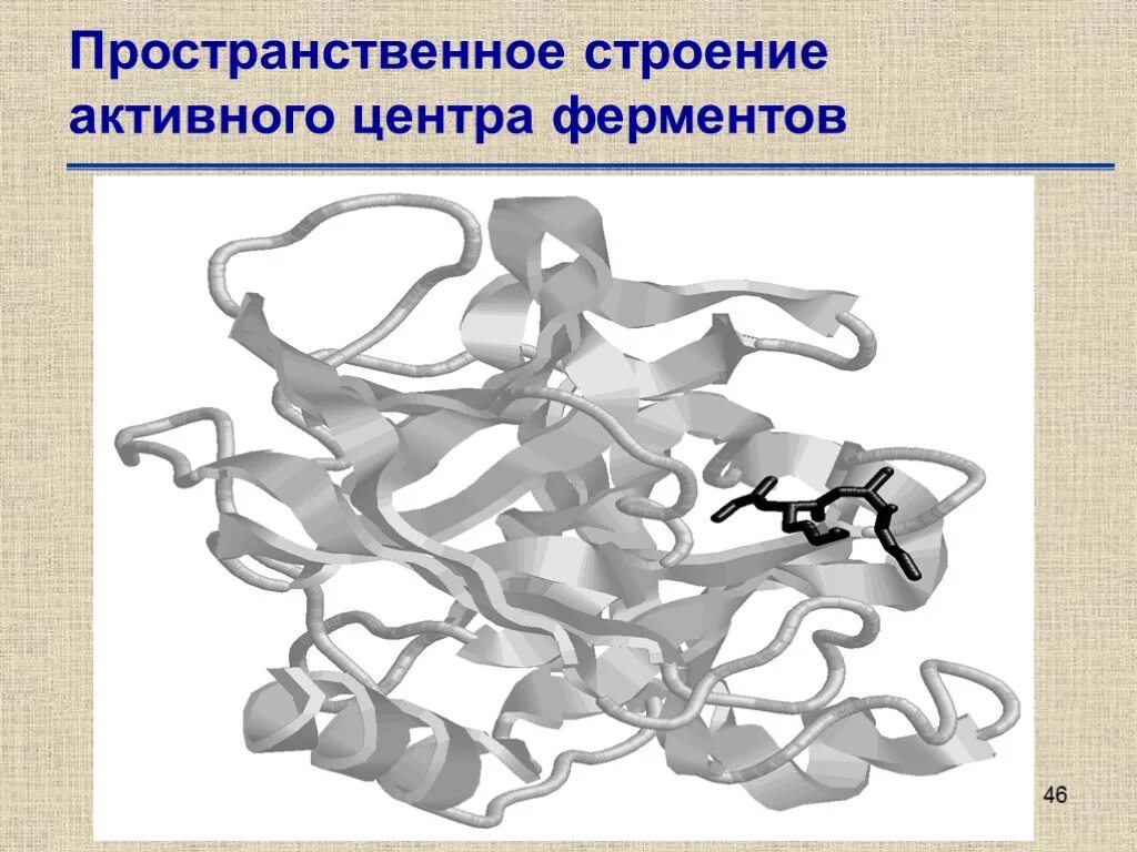 Белки ферменты строение. Трехмерная структура ферментов. Пространственная структура ферментов. Строение фермента. Пространственное строение ферментов.