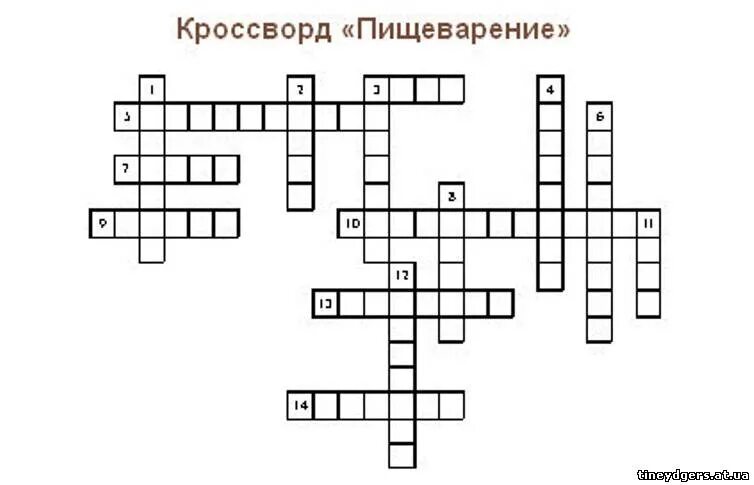 Кроссворд по пищеварительной системе. Кроссворд пищеварение. Сканворд по пищеварению. Кроссворд по пищеварению. Кроссворд пищеварительная система.