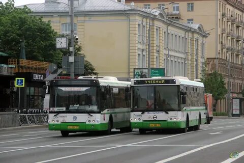 Автобус 077