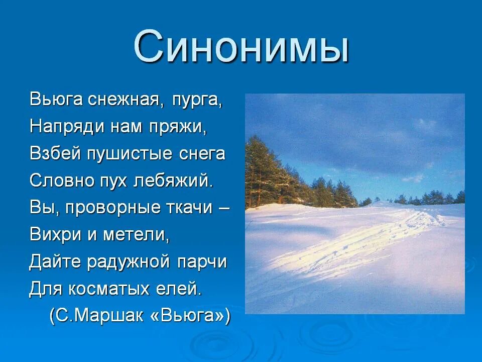 Метель синонимы 3 класс. Маршак вьюга Снежная Пурга. Стихотворение про вьюгу. Зима синонимы. Пурга стихотворение.