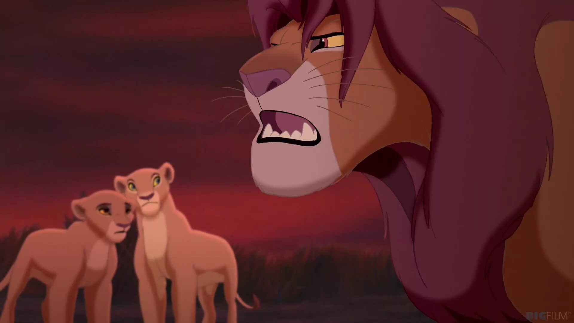 Король лев 2: гордость симбы. The lion king 2. Король лев 2 гордость симбы муфаса. Король лев 2 гордость симбы вики. Король лев 2 гордость симбы 1998 кову.