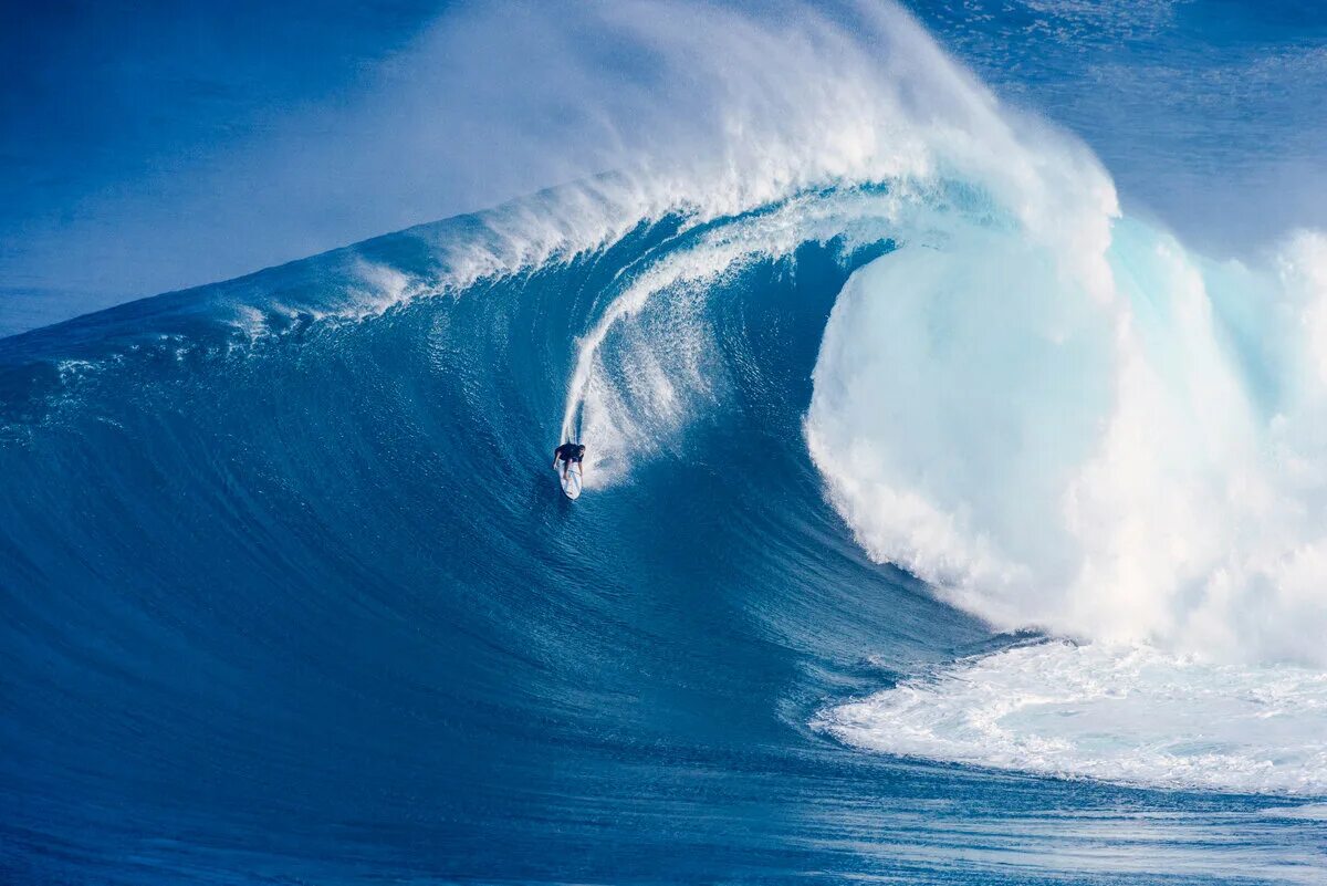 Am looking the wave