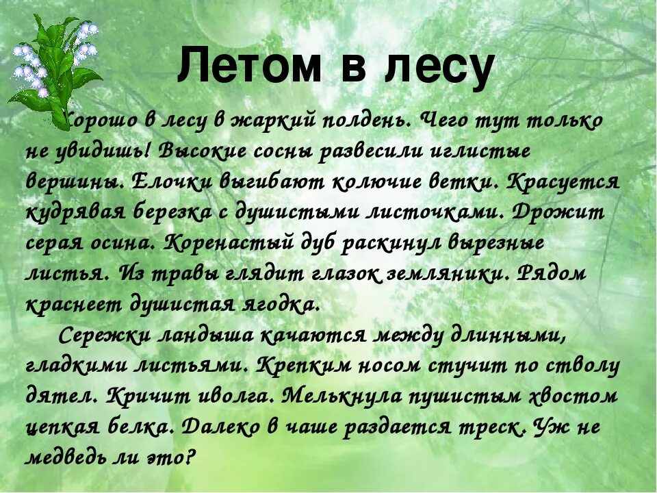 Рассказ летом в лесу. Рассказ как я был в лесу летом. Лето в лесу рассказ. Сочинение на тему леса.