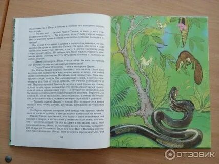 Рикки тикки отзывы