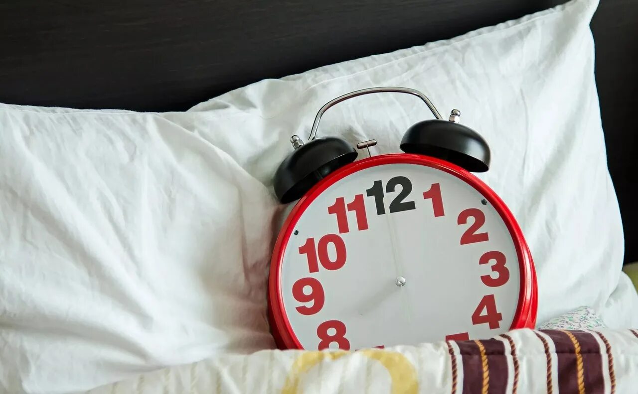 Котик бессонница. Школьник просыпается. Будить в одно и то. Выключает будильник. Человек проснулся.
