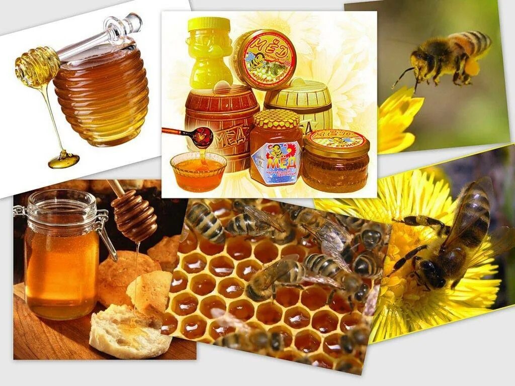 Магазин продуктов пчеловодства. Продукты пчеловодства. Пчелы продукты пчеловодства. Пчелы и мед. Мёд и продукты пчеловодства.
