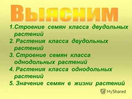 Значение семян в жизни растений