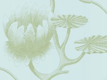 Wallpaper selection
