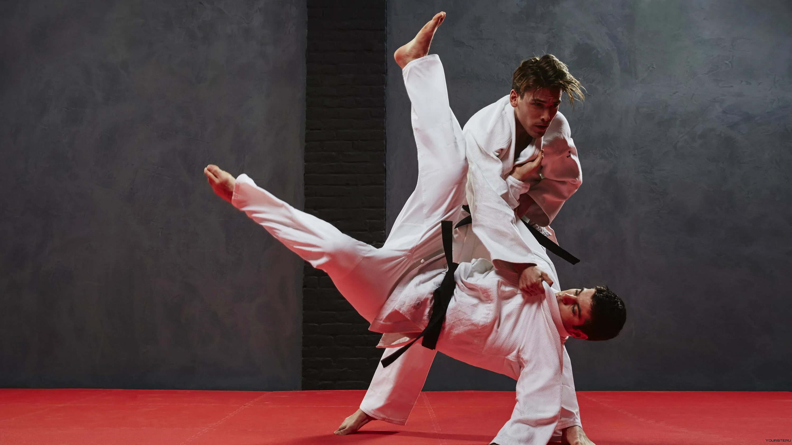 Кенджи Мидори каратэ. Джиу-джитсу боевые искусства Японии. Кимоно борцы дзюдо. Боевые искусства Японии дзюдо.