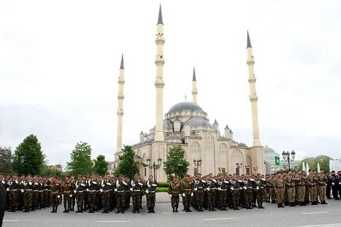 Прямой грозный санкт петербург