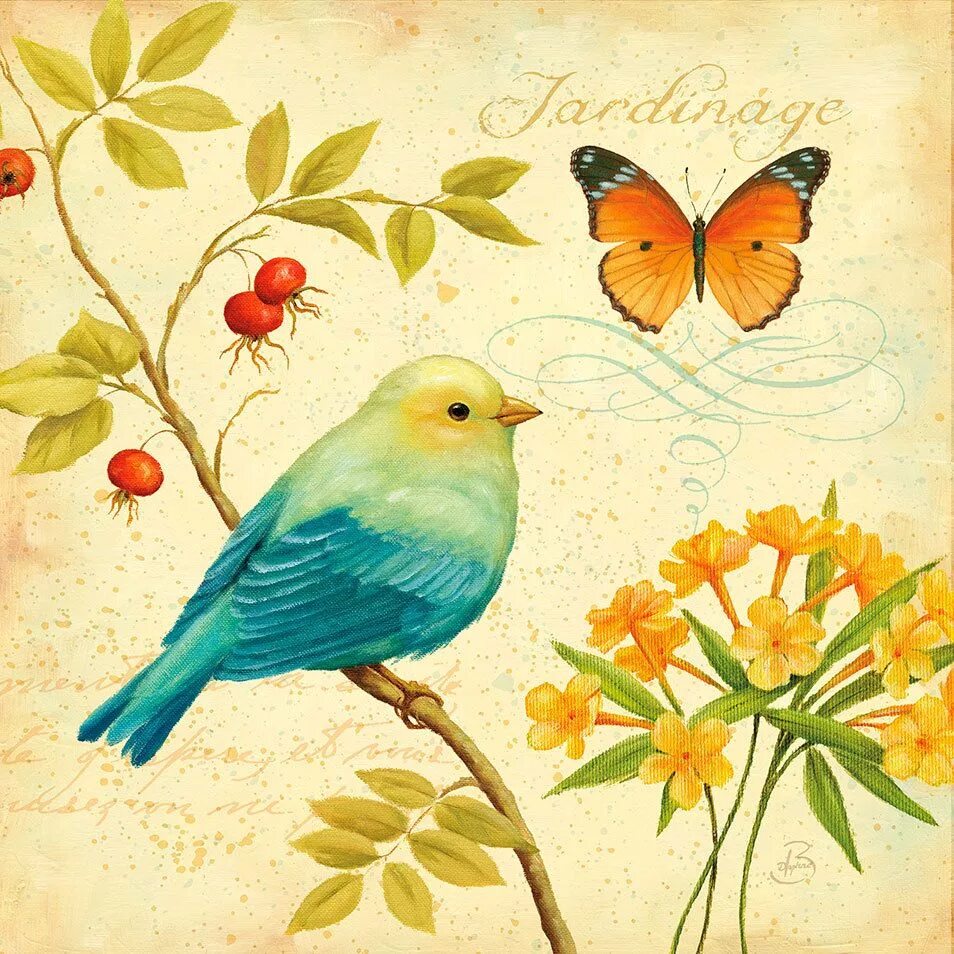 Daphne Brissonnet птицы. Винтажные открытки с птичками. Открытки с птицами. Винтажные открытки с птицами.