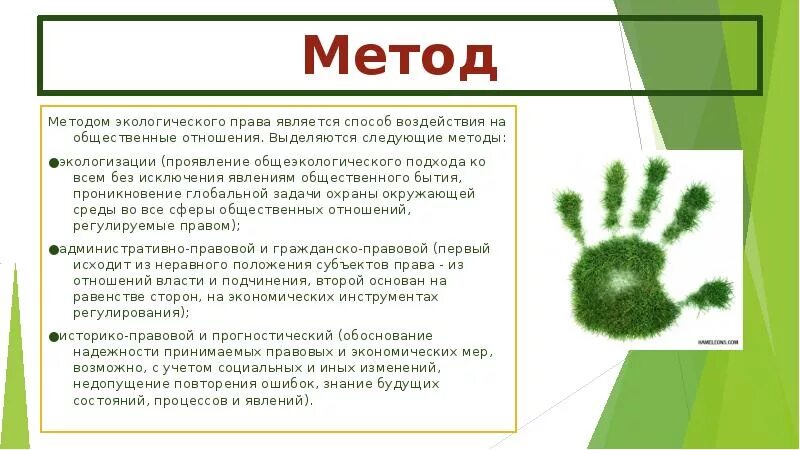 Предмет метод экологического. Методцэкологическое право. экологическое право методы.