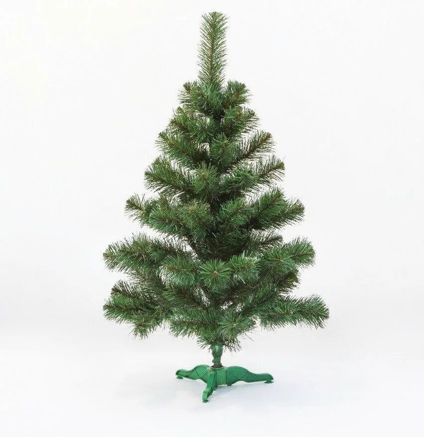 Царь елка ель датская голубая заиндевелая 1. Царь елка северное сияние. Попили бюджет на елку. Елочка наряженная. Елка для про 100.