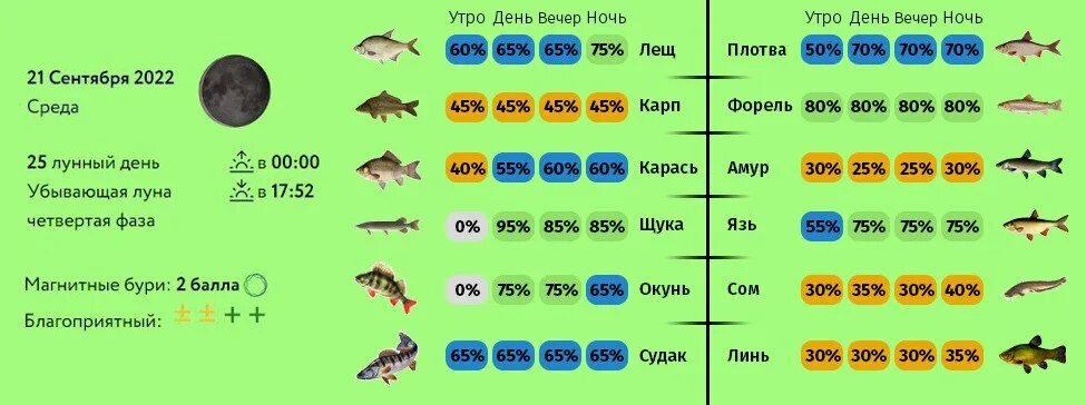 Клев иркутске. Прогноз клёва рыбы. Клев щуки по фазам Луны. Фаза Луны на клев щуки. Клёв рыбы по лунным фазам.