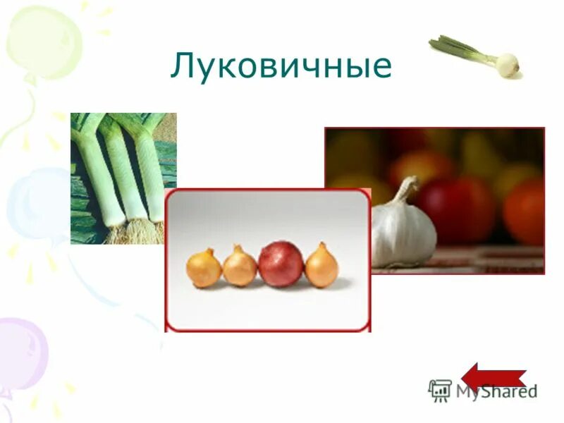 блюда из овощей 5 класс технология. овощи урок технологии. овощи в питании человека презентация. формы нарезки овощей. овощи урок технологии.