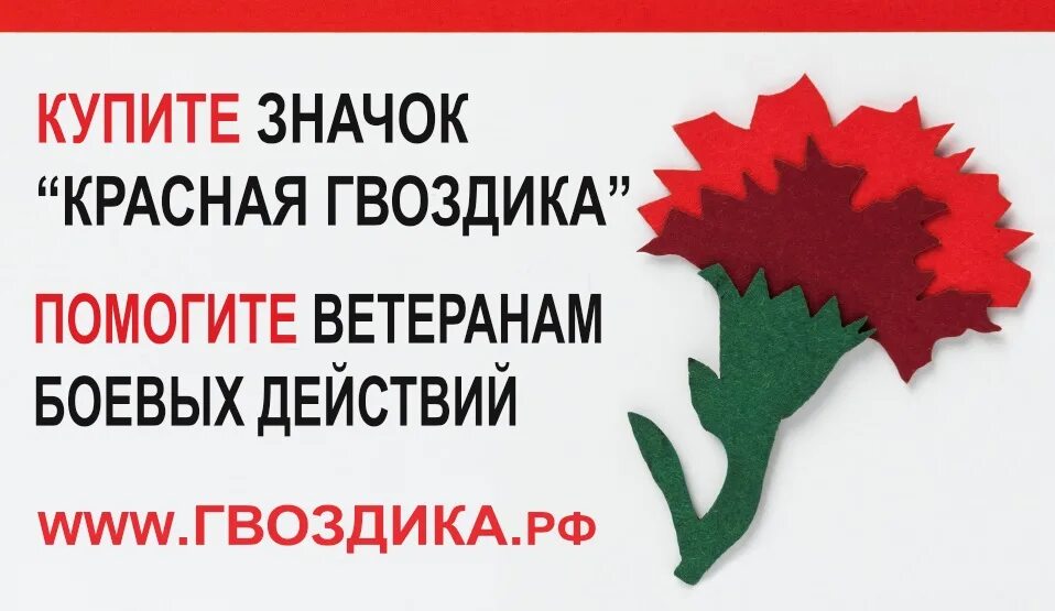 Дц красная гвоздика. Фонд память поколений значок красная гвоздика. Акция красная гвоздика память поколений. Акция красная гвоздика 2022. Значок красная гвоздика.