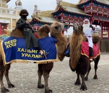 Верблюжий остров элиста