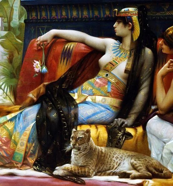 Cat cleopatra