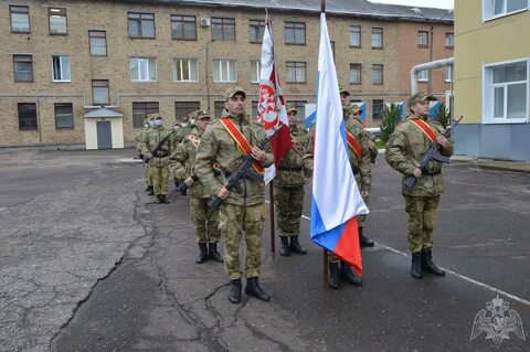 Инженерно саперные полки