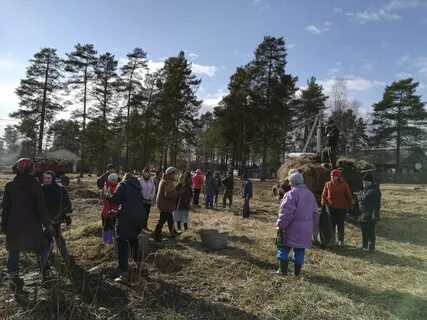 Воробьевица костромская область