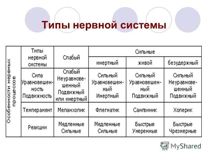 Силен виды. Типы нервной системы. Типы нервной системы и темперамент. Типы нервной системы таблица. Таблица Тип темперамента Тип нервной системы.