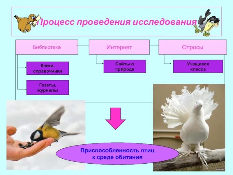 Кластер экологические группы птиц. Характеристика экологических групп птиц. Экологические группы птиц таблица. Экологические группы птиц презентация.