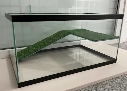 Черепашник