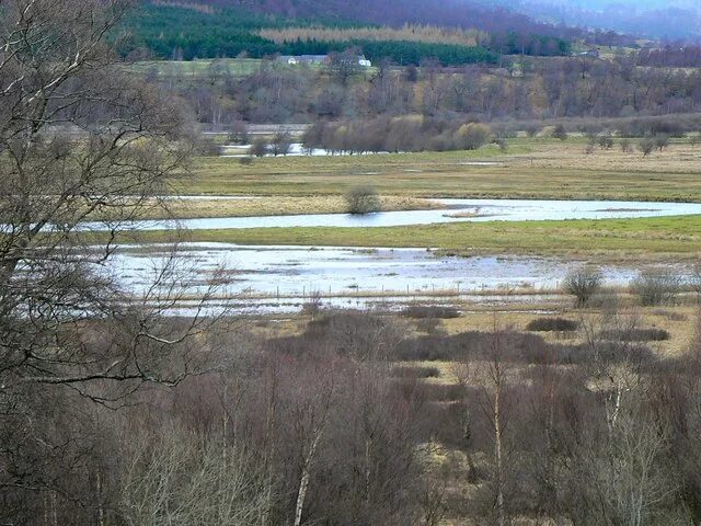 Inch marshes