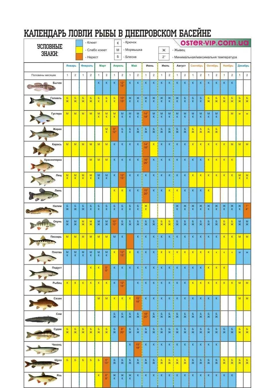 Таблица клева рыбы по месяцам. Таблица клева рыбы. Таблица давления ловли рыбы зимой. Таблица атмосферного давления для ловли рыбы. Таблица клёва рыбы зимней.