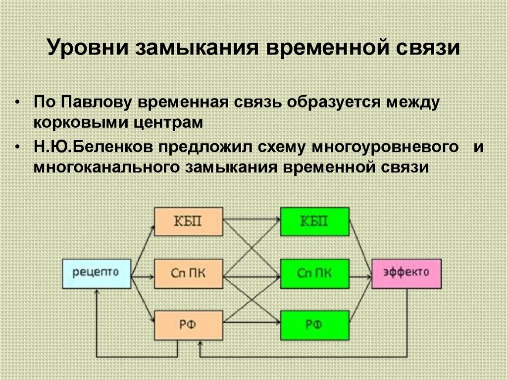 1 уровень по связи. Механизм образования временной связи физиология. Механизм образования временной связи по Павлову. Схема временной связи. Образование временных связей физиология.