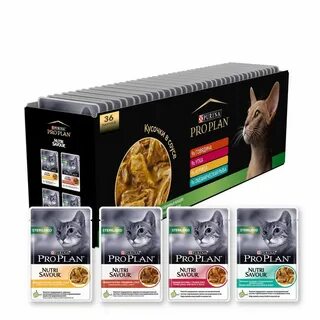 Pro plan говядина для кошек