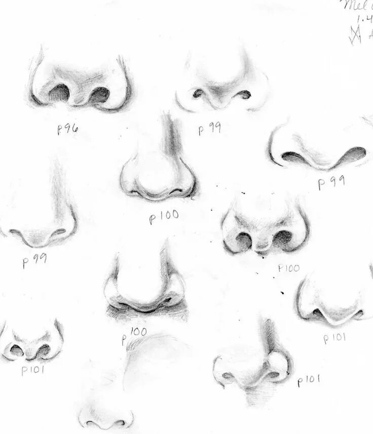 Нос снизу. Рисование носа. Нос рисунок. Нос рисунок в разных стилях простые. Нарисовать нос.