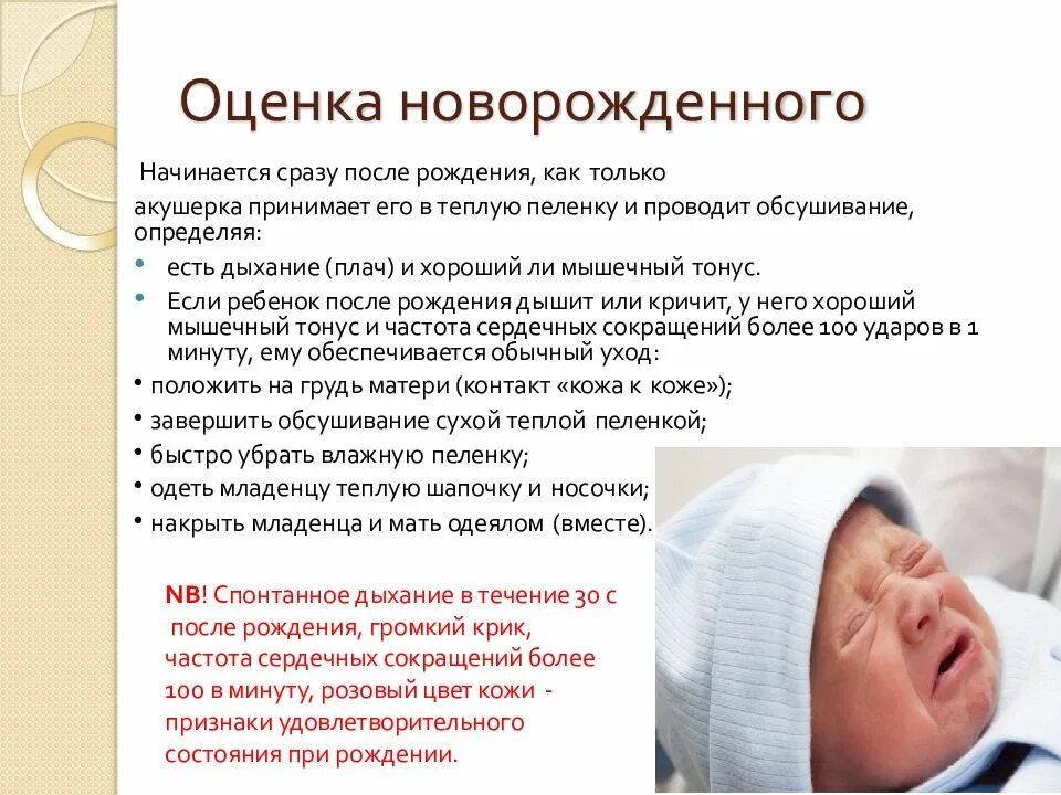 Физиология новорожденных. Физиология периода новорожденности. оценка habitus новорожденного. физиология периода новорожденности акушерство.