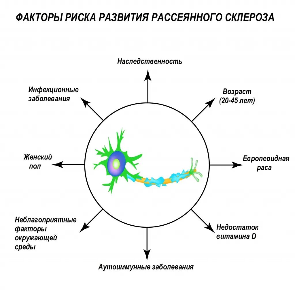 Рассеянный склероз клинические проявления. Факторы риска развития рассеянного склероза. Рассеянный склероз профилактика. Симптомы при рассеянном склерозе. Рассеянный склероз побочные эффекты