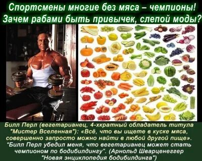 Чем питаются вегетарианцы