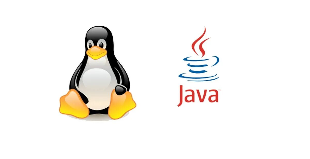 Java на линукс. Java linux. linux ava. тукс java.
