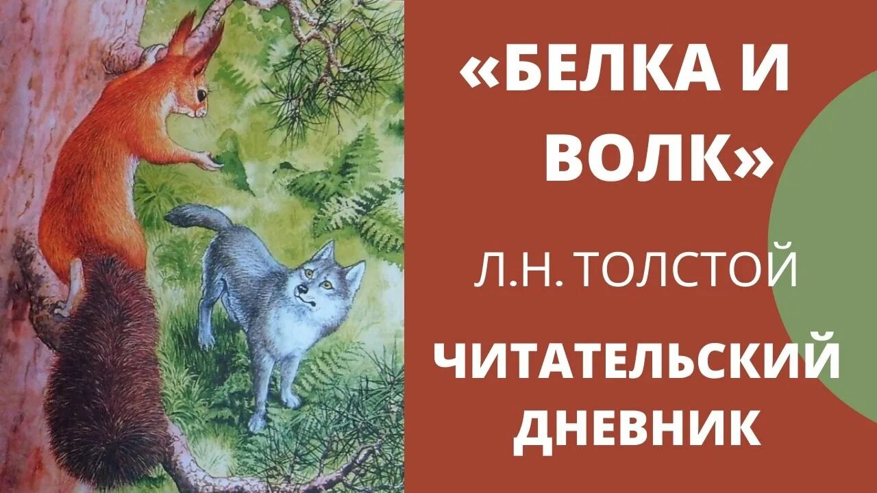 Белка и волк толстой читательский дневник. Читательский дневник белка и волк. Л.Н. толстой белка и волк читательский дневник. Л Н толстой белка и волк.