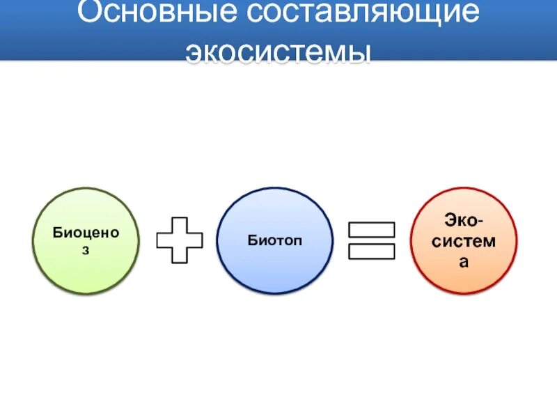 Составляющие картинка. Основные составляющие экосистемы. Из чего состоит экосистема. Основу экосистемы составляют. Основные составляющие.