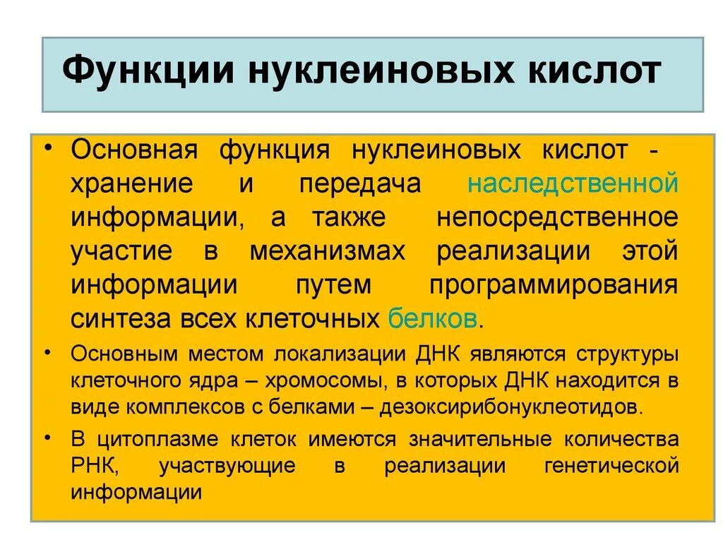 Нуклеиновые кислоты строение и функции. Нуклеиновые кислоты характеристика и функции. Общая характеристика и функции нуклеиновых кислот. Кратко.