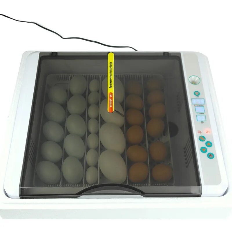Инкубатор SITITEK 12. Лоток для инкубатора на 36\144 яиц лт2. Инкубатор SITITEK 36. Инкубатор на 36 яиц.